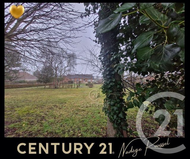 maison à vendre - 7 pièces - 137.32 m2 - ANGRES - 62 - NORD-PAS-DE-CALAIS - Century 21 Nlgim