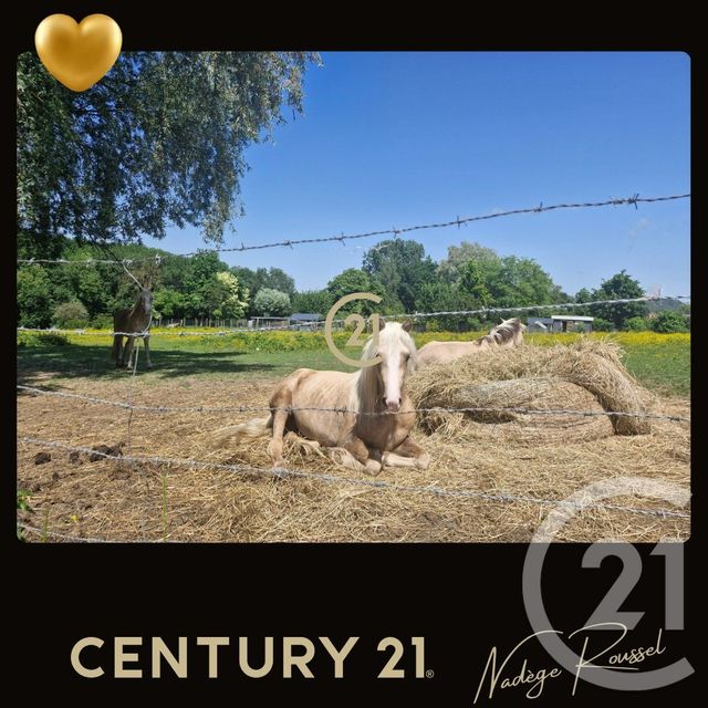 maison à vendre - 5 pièces - 132.48 m2 - GIVENCHY EN GOHELLE - 62 - NORD-PAS-DE-CALAIS - Century 21 Nlgim